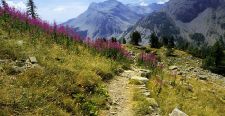 Col de la Cayolle